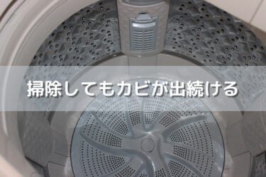 洗濯機にカビが出続けるのはなぜ？オススメのクリーナーと買い替えが必要か